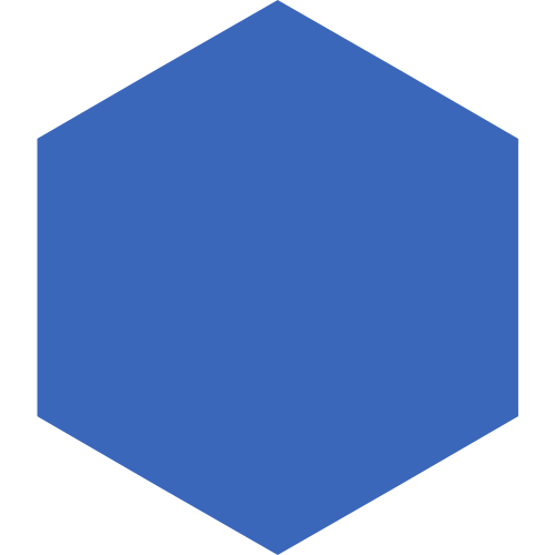 FDSI Hexagon Blue Branding