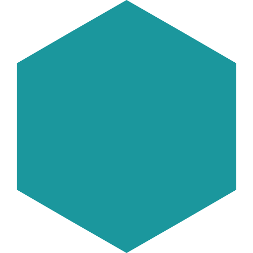 FDSI Hexagon Cyan Branding