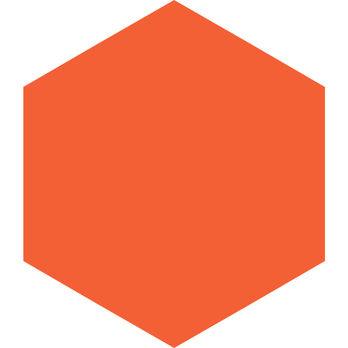 FDSI Hexagon Orange Branding