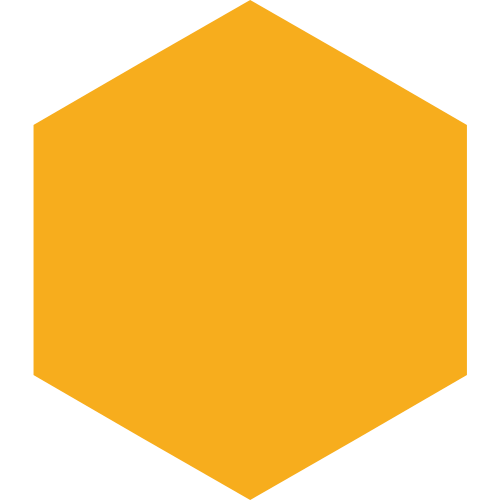 FDSI Hexagon Yellow Branding